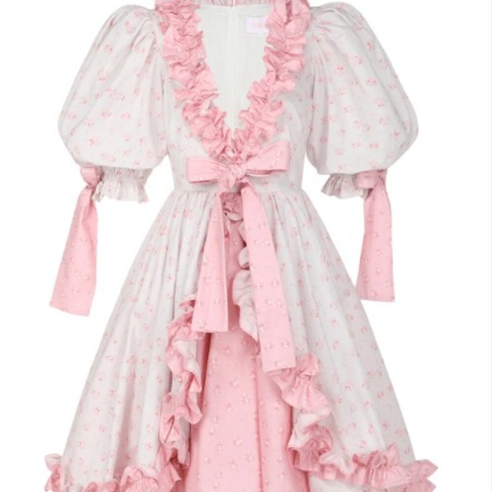 NWT The Parfait Poet Marie Dress size L